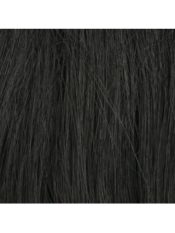 Couronne de cheveux synthétiques lisses courts Mint - Black