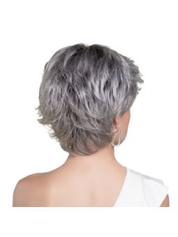 Perruque synthétique courte lisse Rica - ash grey/shad